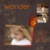 Wonder
