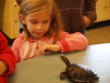 Lilninjatheturtle