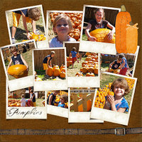 Pumpkinpatch2