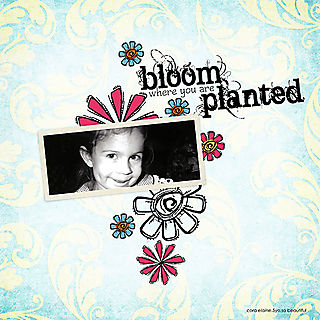 Bloomcora