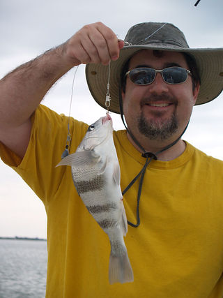 Donniefish
