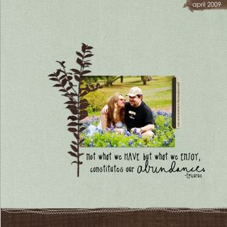 Abundance1