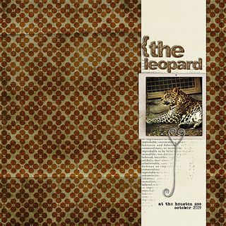 Theleopard