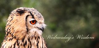 Wedwisdom