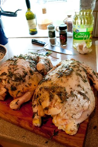 DSC_0391(1)