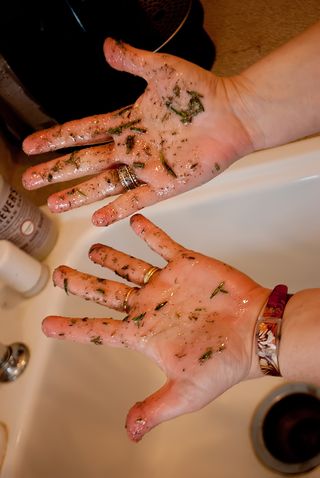 DSC_0383(1)