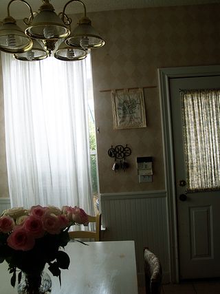 P5134233 - Copy