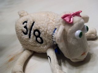 P5184312