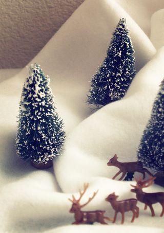 Woodland1