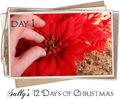 12daysDAY1