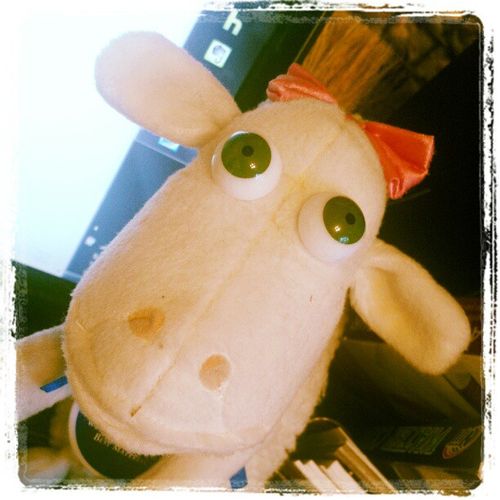 Instagram2