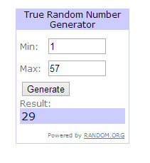 Winner copy