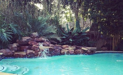 Our pool