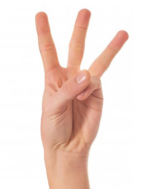3fingersfromwisegeek