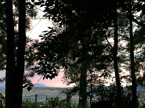 2015-07-31 20.32.28