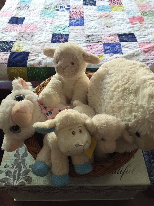 Sheepflock