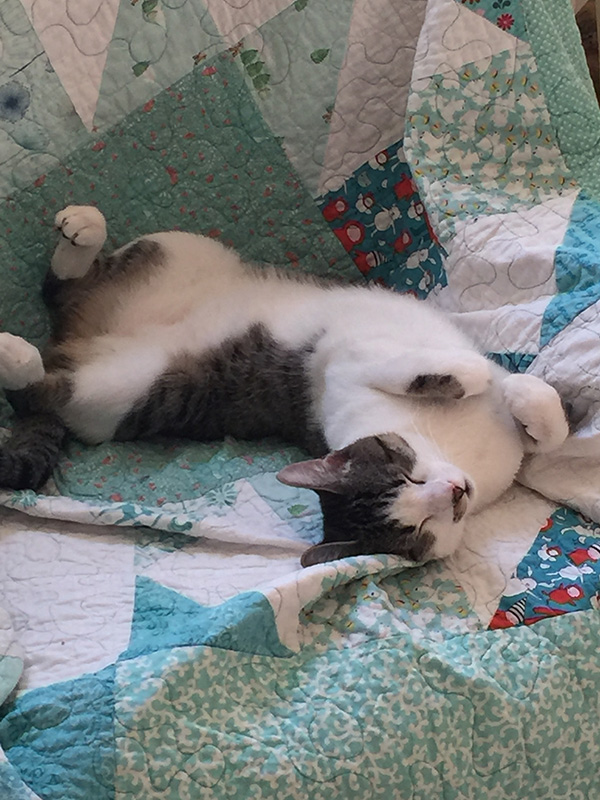 elisleeping