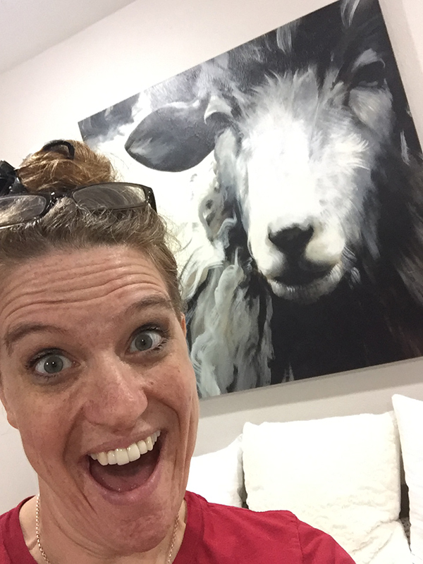 sallysheep
